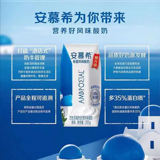 【十堰主城区包邮】安慕希希腊风味酸奶205g*12瓶/箱 商品图2