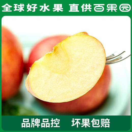 百果园 山东烟台红富士5斤彩箱装（单果重80mm+） 商品图1