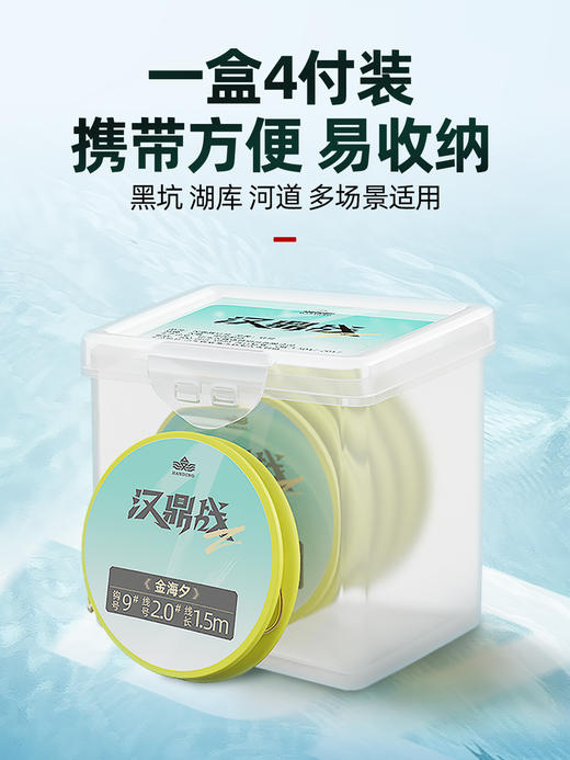 汉鼎战系列草鳊翘嘴成品子线双钩加长行程金海夕伊势尼绑好钩鱼钩 商品图4