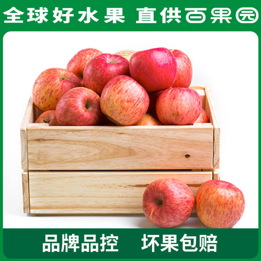 百果园 山东烟台红富士5斤彩箱装（单果重80mm+） 商品图2