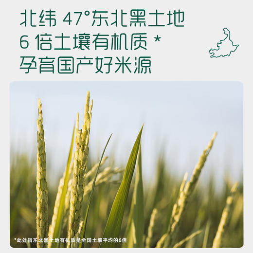 英氏亲衡加铁营养米粉258g 商品图6