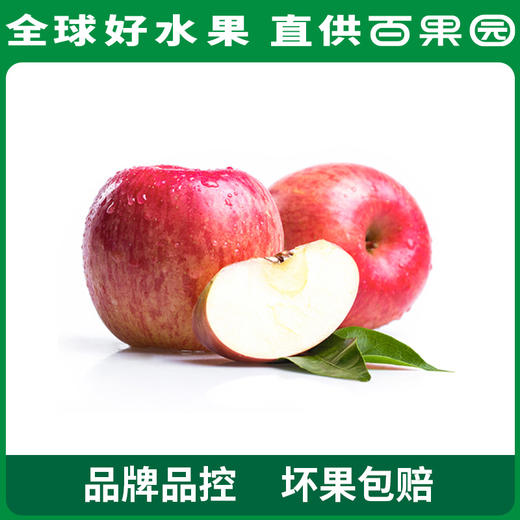百果园 山东烟台红富士5斤彩箱装（单果重80mm+） 商品图0