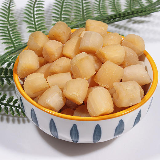 廉心瑶柱202g/盒 湛江特产 淡晒干贝 商品图3