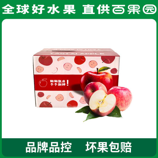 百果园 山东烟台红富士8.5斤彩箱装（单果重80mm+） 商品图2