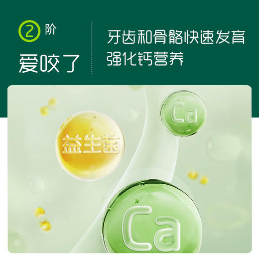 英氏菠菜加铁加钙营养米粉258 克 商品图2