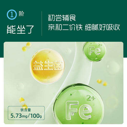 英氏亲衡加铁营养米粉258g 商品图3