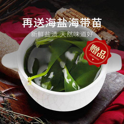 【压缩海带】补钙宝盒 2盒（16g*10袋/盒）共20袋仅需119元，加送海带苗一斤紫菜50g。（2.12-2.24停发） 商品图3