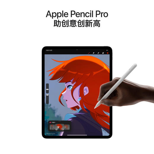 13英寸 iPad Pro（M4 芯片 标准玻璃面板） 商品图4