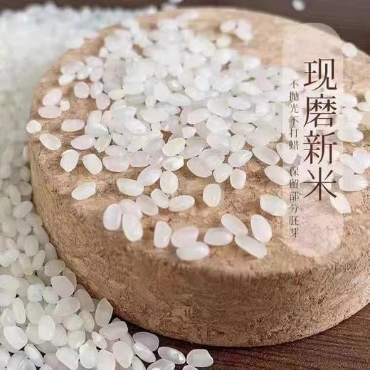 【仅自提】最新日期 老娘舅大米 20斤装，仅自提，紫色或红色包装随机发 商品图6