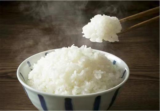 【仅自提】最新日期 老娘舅大米 20斤装，仅自提，紫色或红色包装随机发 商品图3