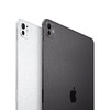 13英寸 iPad Pro（M4 芯片 标准玻璃面板） 商品缩略图2