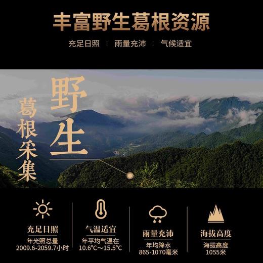 二月风有机葛根粉条500g/袋 商品图2