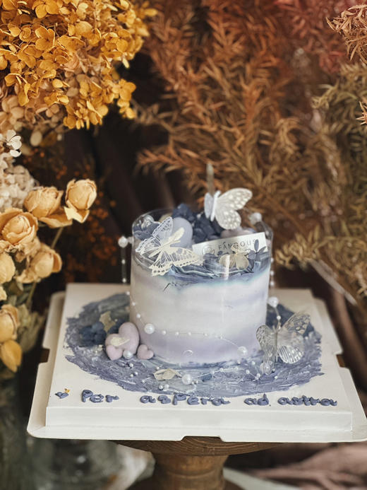 循蝶舞迹 商品图0