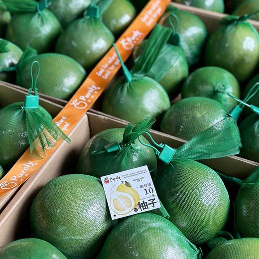 越南「红柚」1个中大果 约0.9~1.1kg 商品图2