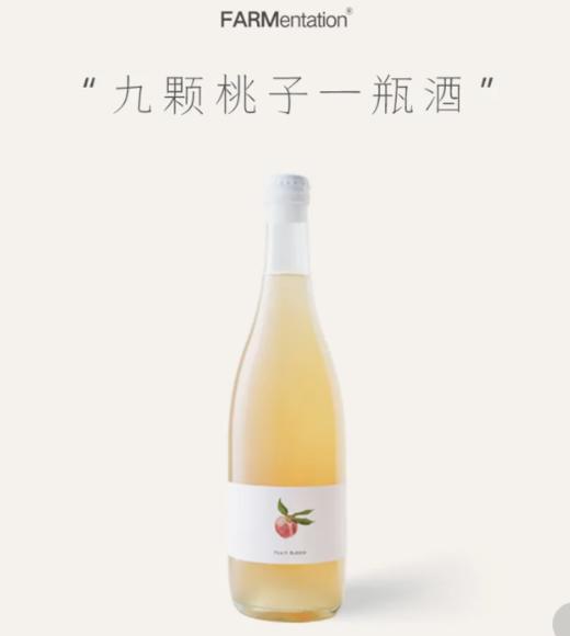 田园酿造水蜜桃起泡酒 750ml 商品图0