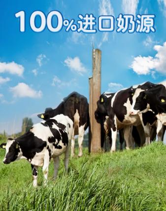 百吉福一杯芝士白桃味 商品图2