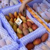 海南树熟「贵妃芒」小果 1kg 约11～13个 商品缩略图0