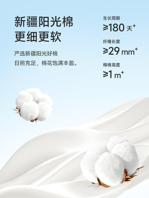 今夏女生都在买的内裤！中高腰 无染原棉 7A抗菌女士内裤 不夹臀，不跑位，开叉版型不勒腿 素色提花，包裹内在的美 商品图8