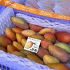 海南树熟「贵妃芒」小果 1kg 约11～13个 商品缩略图1