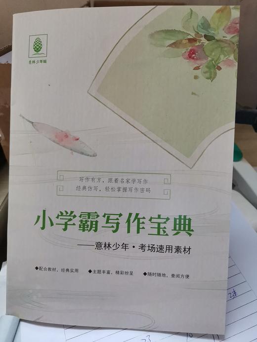 【赠写作宝典】意林少年版杂志  中小学生版作文素材写作校园读本课外阅读书刊【悦刊图书】 商品图14