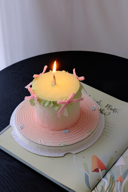 蝴蝶结 商品图4