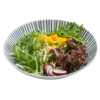 有机蔬菜沙拉包 夏日的冷吃 简约的健康 1.5Kg 商品缩略图1
