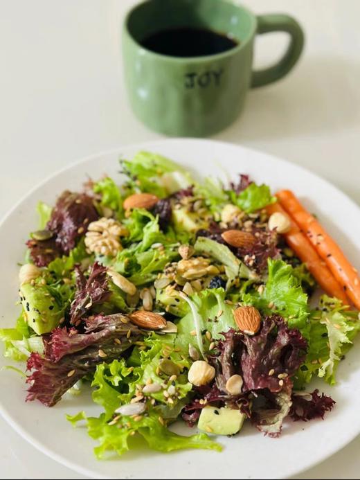 有机蔬菜沙拉包 夏日的冷吃 简约的健康 1.5Kg 商品图0