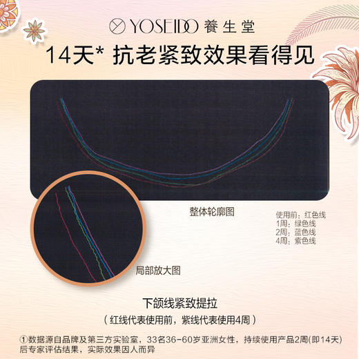 伦敦时装周全家福大套装礼盒装（时装周帆布包随机发送） 商品图5