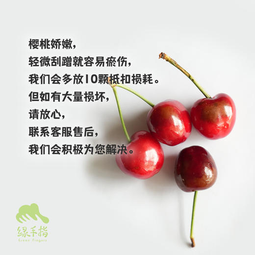 有机白鹿原樱桃| 合作生产 * Organic cherry of Bailuyuan | Coproduction 商品图2