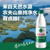 农夫山泉绿瓶纯净水550ml便携装解渴必备 商品缩略图4