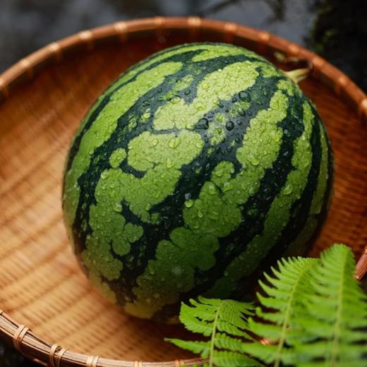 小糖丸西瓜 约3斤/个  | 水果 商品图1