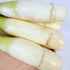 【本地蔬菜】茭白 500g 商品缩略图1