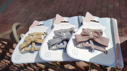 成都灵粹猫带 商品图3