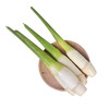 【本地蔬菜】茭白 500g 商品缩略图0