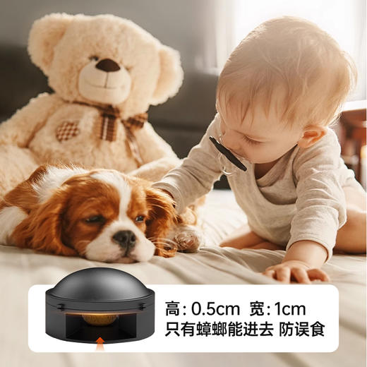 🪳小强终结者！杀蟑神器1！  【MAYNOS杀蟑饵剂小黑屋】  商品图3