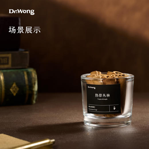 热带丛林精油香薰杯 商品图1