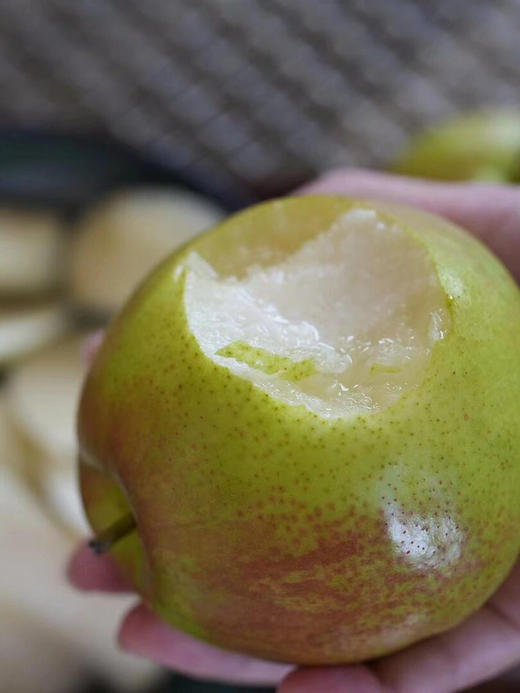 玉露香梨🍐🍐目前少有的好鲜梨，皮薄肉厚水份足，清甜水嫩，好吃[色][色] 商品图1