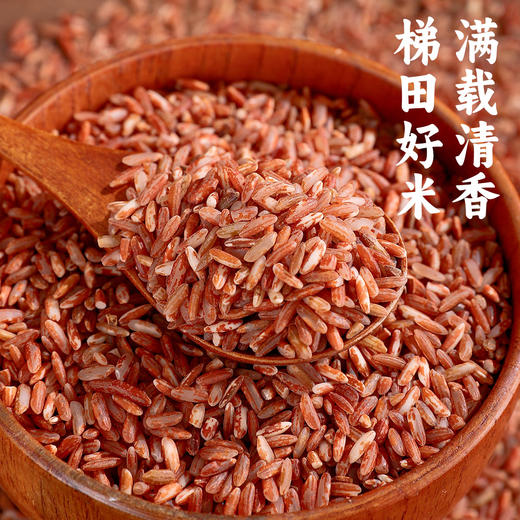 D【精选杂粮】云南特产哈尼梯田红米/紫米【4.13截单】 商品图1