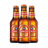 青岛啤酒棕金258ml*12瓶箱啤 商品缩略图1