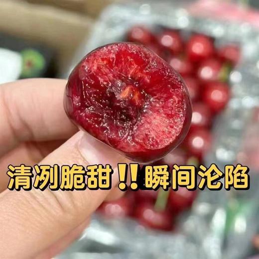 特价车厘子（盒）2JD 商品图1