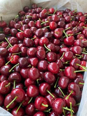 特价车厘子（盒）2JD