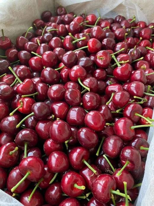 特价车厘子（盒）2JD 商品图0