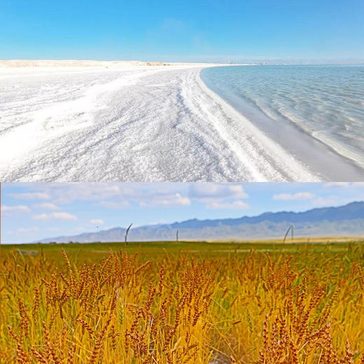 南食召 红光头挂面 商品图2