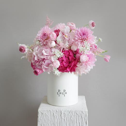 绵绵蜜语Sweet Talk系列 商品图0