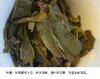 生普 | 千百树【2024年新茶 定制款】那罕古树纯料 春茶 100g/饼 商品缩略图5
