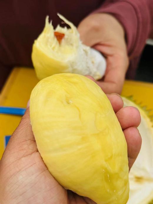 【超级补贴】26.8元斤   泰国树熟特特级金枕榴莲 商品图2