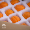 生态大黄杏 | 合作生产*Eco-Apricot | artner Production 商品缩略图6