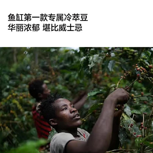 ahahhh手冲豆-埃塞 耶加雪菲 阿多斯 黑蜜 季节手冲咖啡豆 商品图2