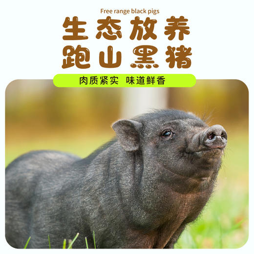 有机儿童时蔬猪肉饭团240克（8只）全国配送（偏远地区除外） 商品图4