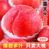 【阳山水蜜桃！口口爆汁！蜜桃中的爱某仕】红珍珠水蜜桃 香甜可口 齿齿留香  爱不释口！孩子老人の真爱蜜桃！桃子水果当季 现摘整箱包邮软时令油脆甜桃毛密桃-LC24GG07 商品缩略图0